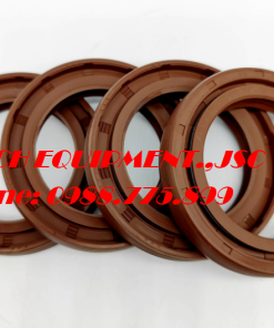 Lò xo đôi  DC55 * 80 * 8