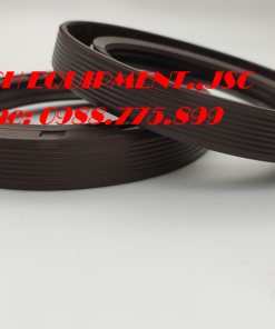 Phớt lò xo 60*80*12,Phớt lò xo 60*90*10,Phớt lò xo 60*90*12